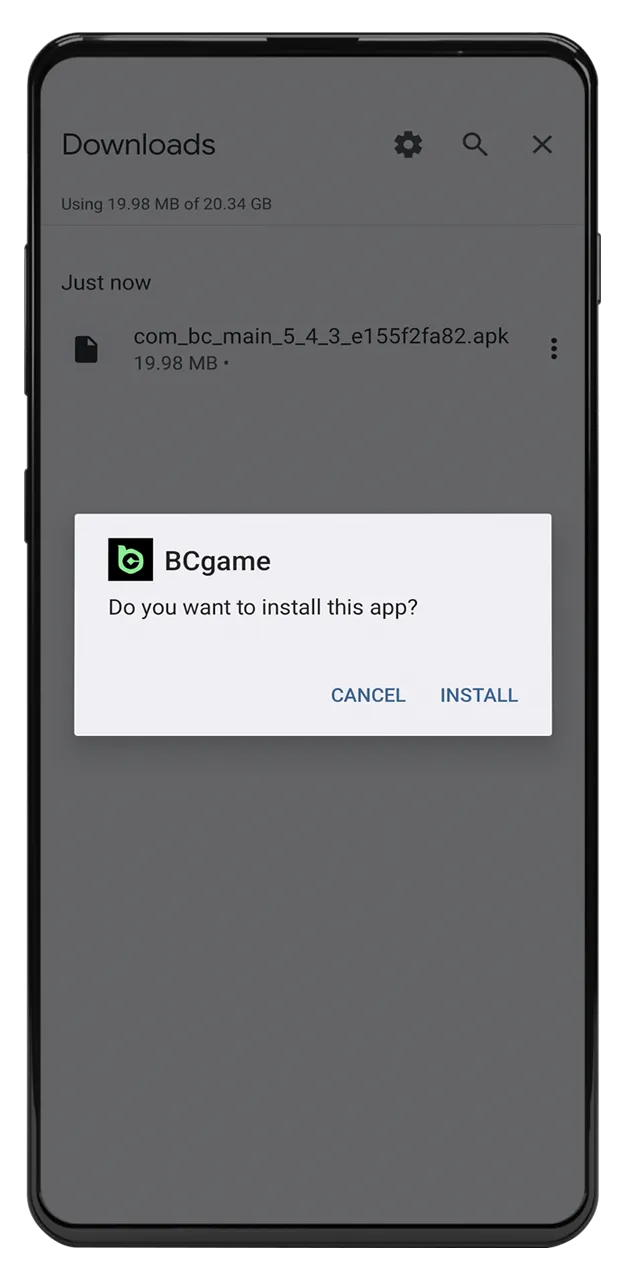 Run the installation file for the BC Game app.
