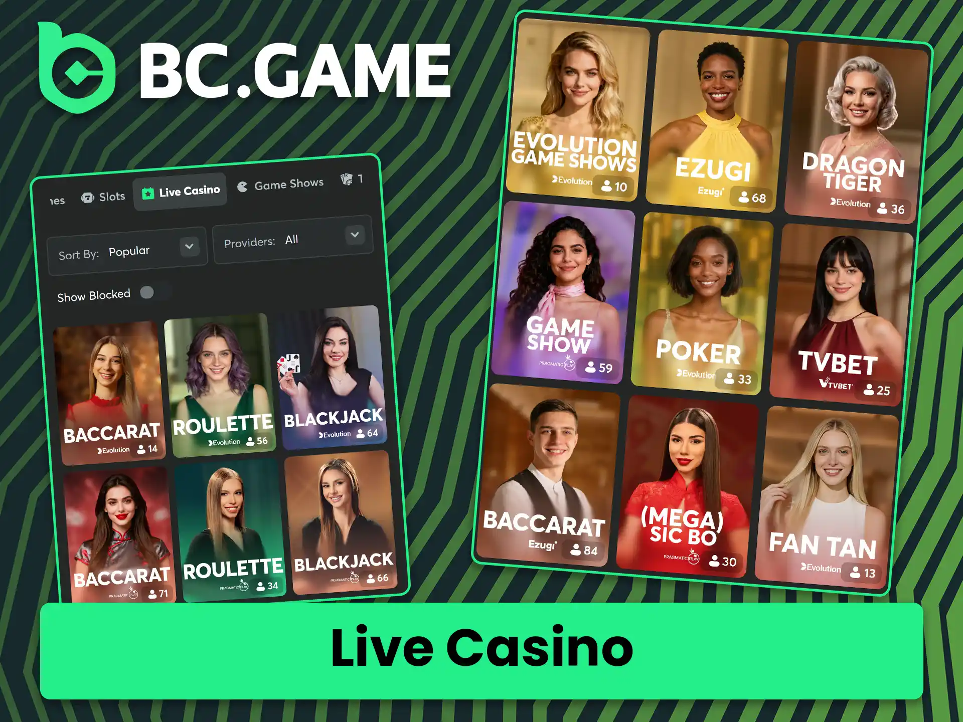 Play table games with real dealers in real time at BC Game live casino.
