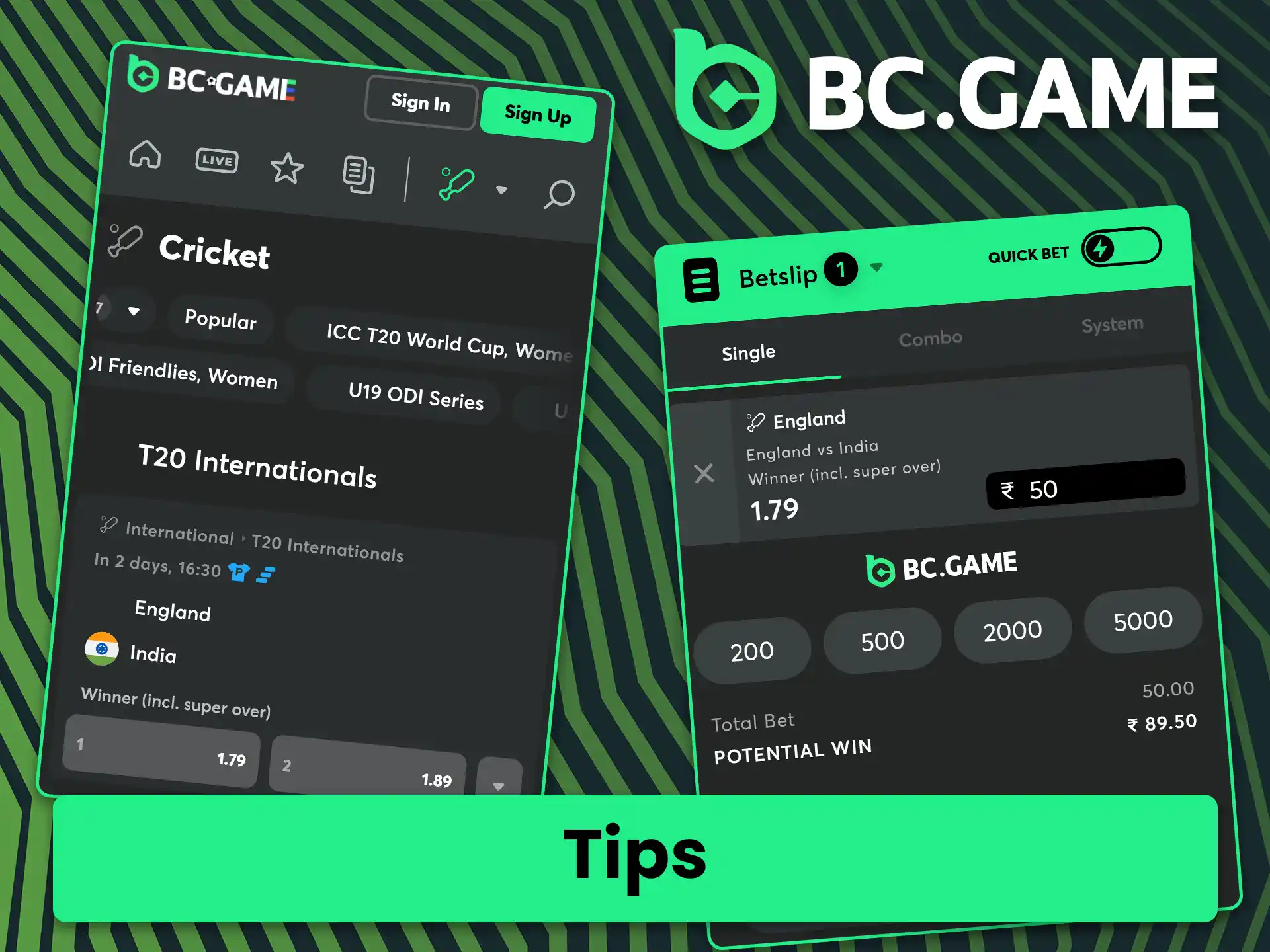 Read the expert advice and useful tips for successful cricket betting on BC Game.