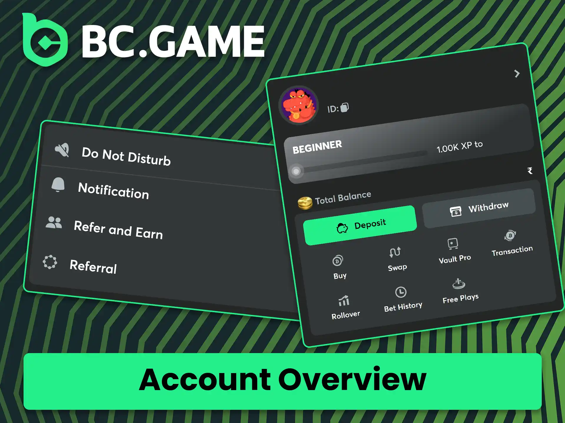 Manage your account on BC Game.